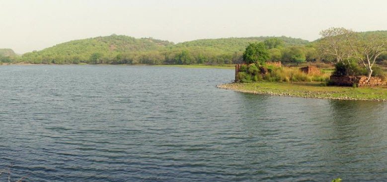 Padam Talab, Sawai Madhopur, Rajasthan - Vushii.com Padam Talab, Sawai Madhopur, Rajasthan - Vushii.com